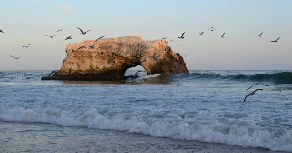 Top 9 Hiking Trails to Explore in Santa Cruz