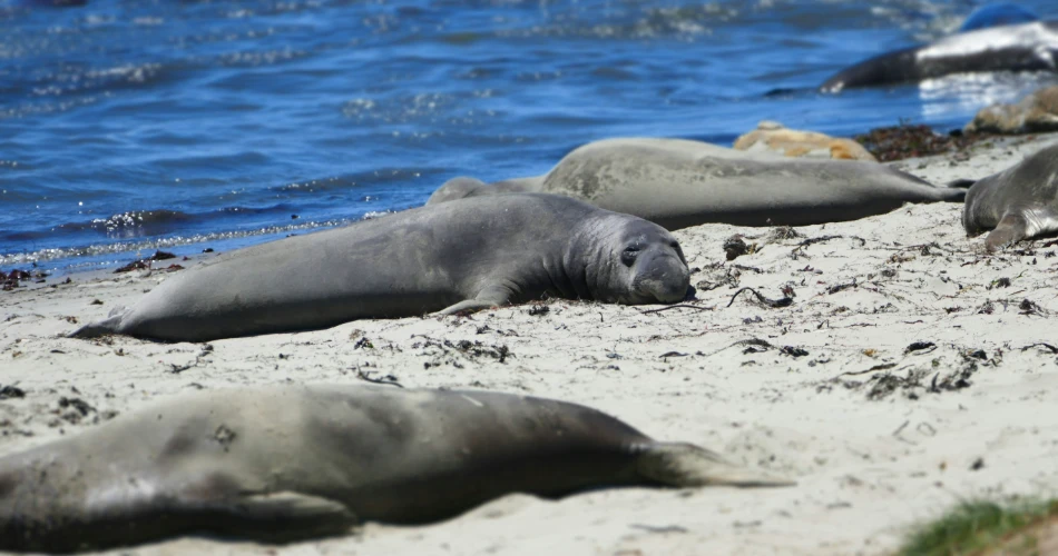 Santa Cruz Hikes, Best Hikes in Santa Cruz - Guide